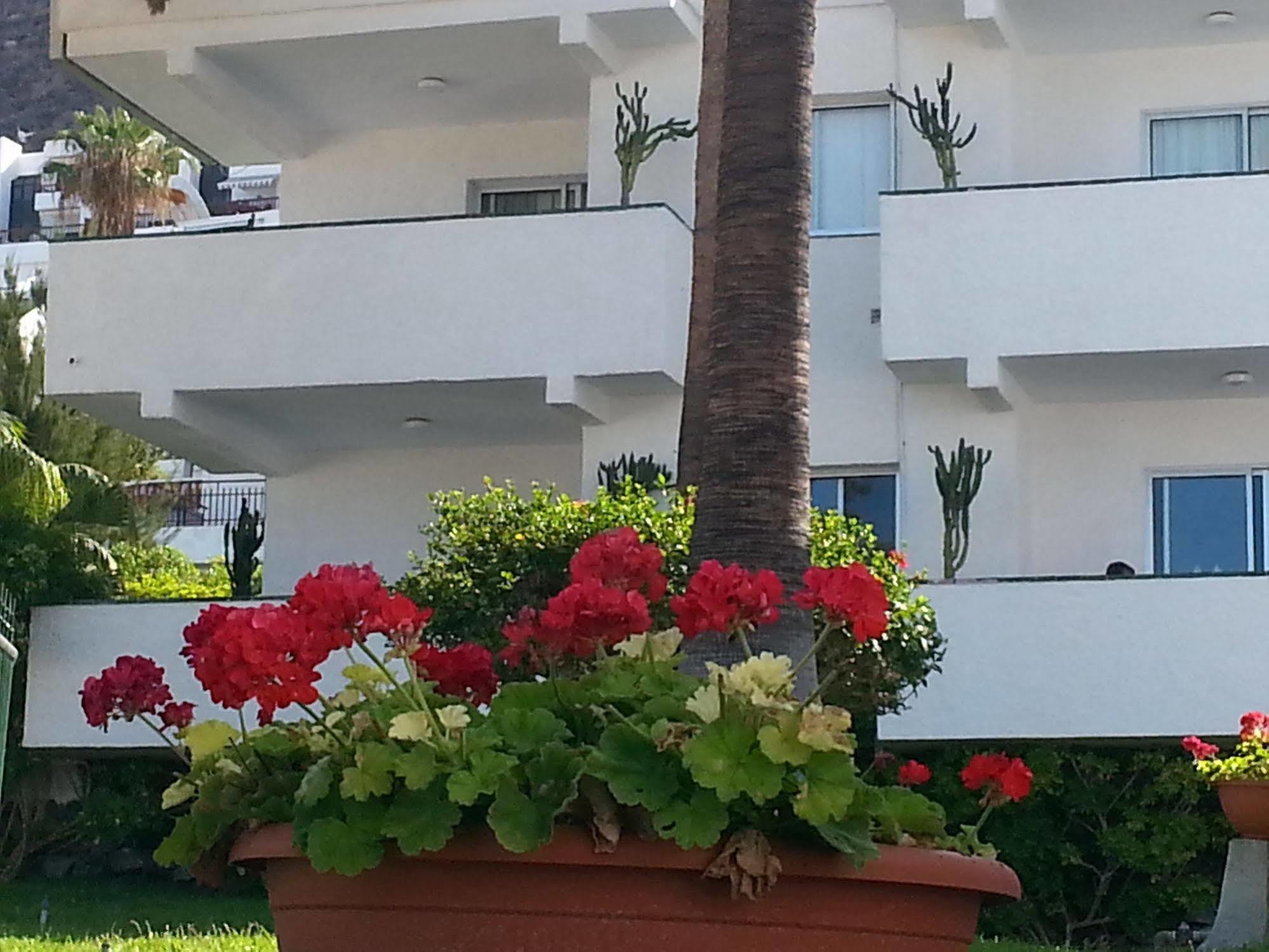 Apartamentos El Sombrero Acantilado de los Gigantes Exteriér fotografie